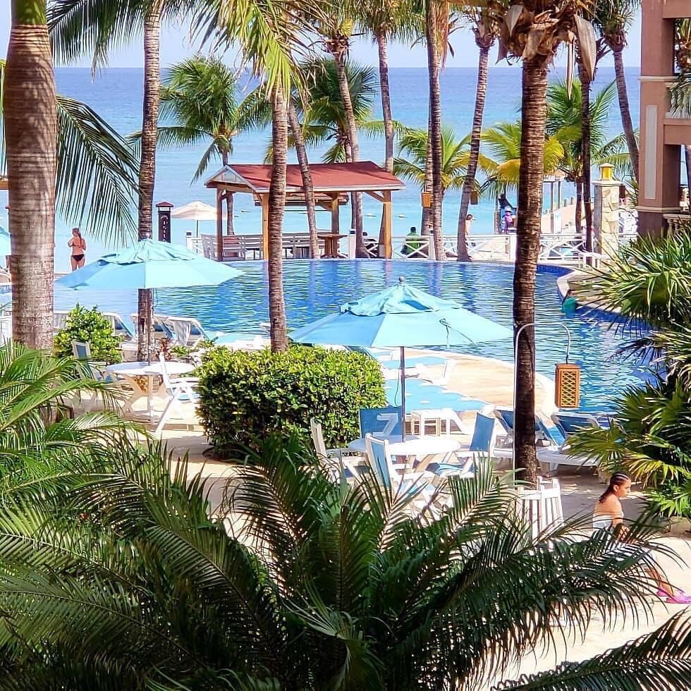 View of the Infinity Bay resort pools through the palms