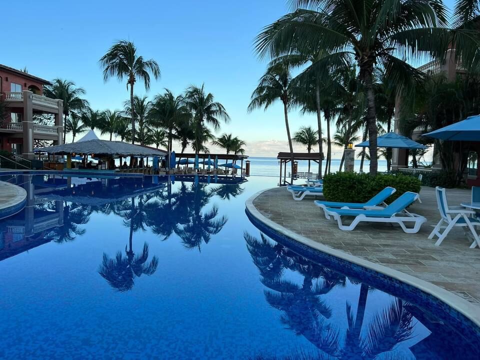Infinity Bay pool at dusk with palm reflections